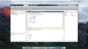 Computational Physics Video 9: Persistent variables in MATLAB functions