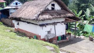 हङपङ गउ तपलजङ Hangpang, Triweni Gau Palika Taplejung.