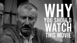 Why you should watch this movie - THE MOROMETE FAMILY - CINEPUB