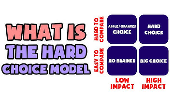 What is The Hard Choice Model | Explained in 2 min