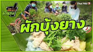 ผักบุ้งยาง | ภัตตาคารบ้านทุ่ง