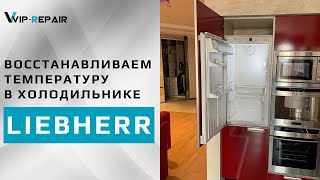Восстанавливаем температуру в холодильнике Liebherr