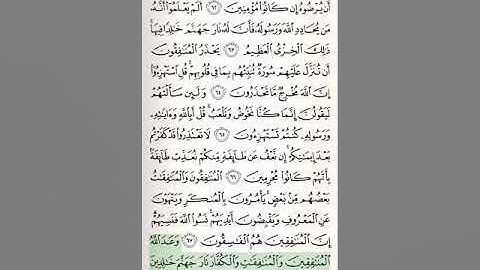 الحزب 20 من القرآن الكريم الشيخ أبو بكر الشاطري