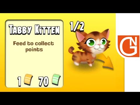 59+ Tabby kitten hay day Funny Cats