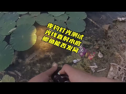 夜钓测试，光线持续影响下鲫鱼能否发窝，平射时不同光线有何区别~分享钓鱼知识