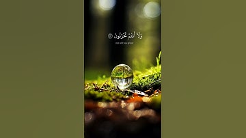 يَا عِبَادِ لَا خَوْفٌ عَلَيْكُمُ الْيَوْمَ وَلَا أَنْتُمْ تَحْزَنُونَ من سورة الزخرف- آية (68)
