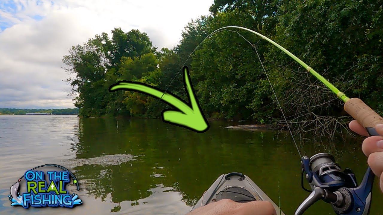 I Caught 3 of These Fish on 3 Different Lures