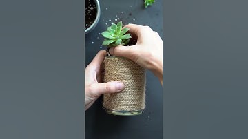 Genius Tin Can Upcycle Idea!