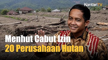 Tunggu Restu Prabowo, Menhut Janji Cabut Izin 20 Perusahaan Pengelola Hutan