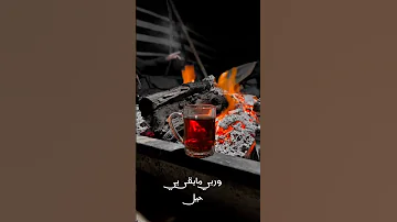ياليل من الحزن ياليل الغربه نادر الشراري 