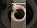 Девочки, было? WB #234577722 Ozon #1664064287 #чистота #cleaning #мотивациянауборку