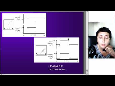 ნეირობიოლოგიის კვლევის თანამედროვე მეთოდები, ლექცია4, ნაწილი3, ეკა ლეფსვერიძე,  D005 2 05092