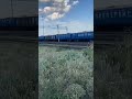 Грузовой поезд с полувагонами #trains  #shorts #dima_th