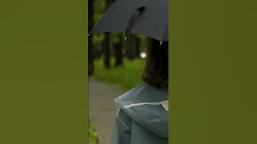 Woman Walk Alone under the Umbrella