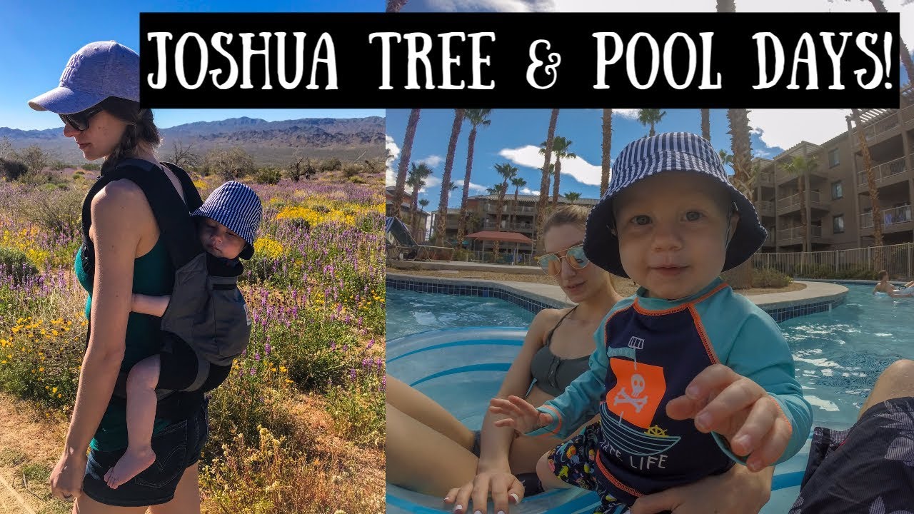 California Travel Diary | Adorable Highlights from our Vacation!