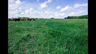 Intro to Adaptive Grazing  Part 1: Introduction to Adaptive Grazing w/ Dr. Allen Williams