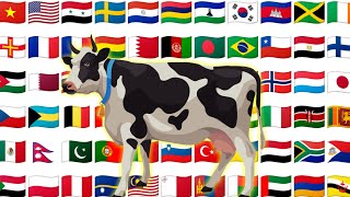 Cow in different languages with Voice | animals name