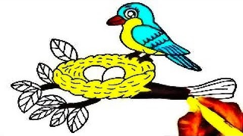 how to draw bird nest drawing easy with colour Bird with eggs drawing tree animal drawing parrot art