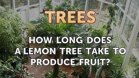 How Long Does a Lemon Tree Take to Produce Fruit?