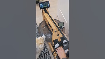 Minimalist Water Rower Tablet Mount