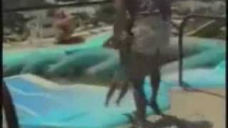 Paperissima Loquendo Episodio 1