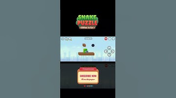 Snake Puzzle | Level 11 | Slither to Eat