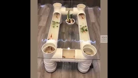 Pvc pipe aquarium / tea table