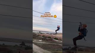 ZIPLINE Pumpkin Toss 📍 WildPlay Jones Beach