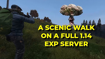 My first DayZ 1.14 experimental experience on a full server...