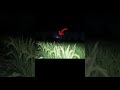 Ghost at farm 😨😱 #ytshorts #horrorstories