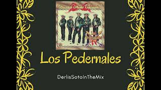 LOS PEDERNALES MEGAMIX