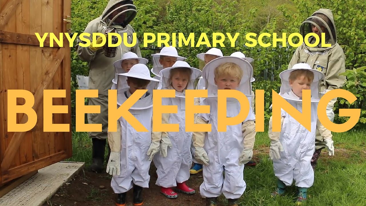 Bee Keeping at Ynysddu Primary School
