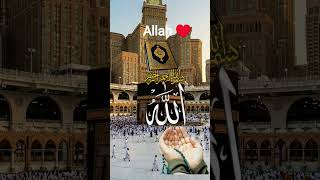 #islamicvideo #duet #love #lifeisbutadream #islamicmarriage #shortvideo #islamiclove #hijab