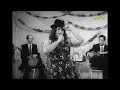 جوجه فوکلی چه لجوجه