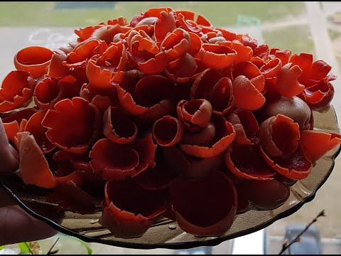 Самые первые грибы ! Саркосцифа алая и строчки ! Грибы в Подмосковье !