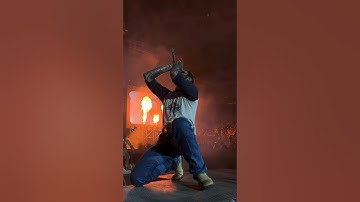hollywood is bleeding