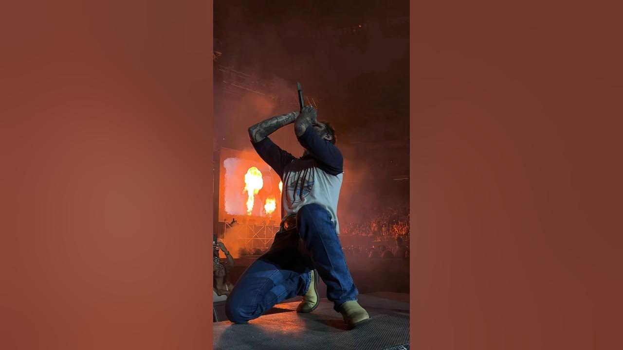hollywood is bleeding hollywood is bleeding