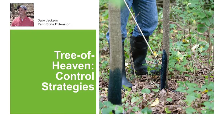 What animal eats tree of heaven? (2023)