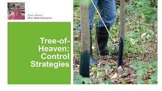 Tree-of-Heaven: Control Strategies
