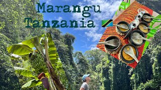 Ndoro Waterfalls and Chagga Caves - Marangu Tanzania