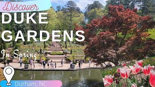 Sarah P. Duke Gardens | Discover Duke Gardens | The Hudson's Hub