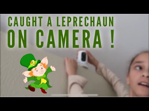 St. Patrick’s Day Stem Activity || Building a Leprechaun Trap
