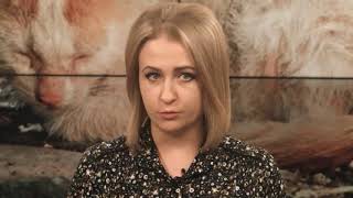 Законы, защищающие животных, в разных странах мира Законы, защищающие животных, в разных странах мира