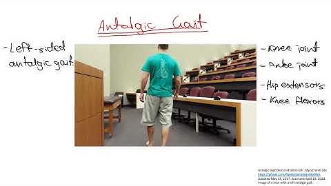 Types of Gait Abnormalities