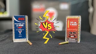 CCI TNT VS HORNADY VMAX || GEL TEST screenshot 4