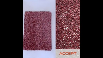 RED BEANS SORTING - Fenix color sorters - 3U Vision Test Lab