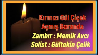 KIRMIZI GÜL ÇİÇEK AÇMIŞ BORANDA / GÜLTEKİN ÇELİK VE MEMİK AVCI / YEREL RENKLER YEREL SESLER 50.BÖLÜM Resimi