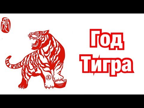 Год Тигра – описание и характеристика знака