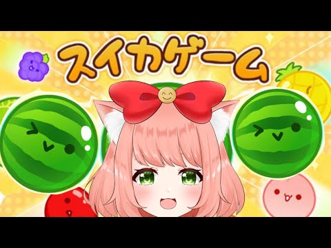 🔴 【 #スイカゲーム / 雑談 】縦型配信！はじめてのスイカゲーム！スイカつくりたいぞー！ 【 博多弁猫Vtuber 】 Suika Game　#shorts