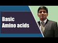Basic amino acids: Protein chemistry: Biochemistry
